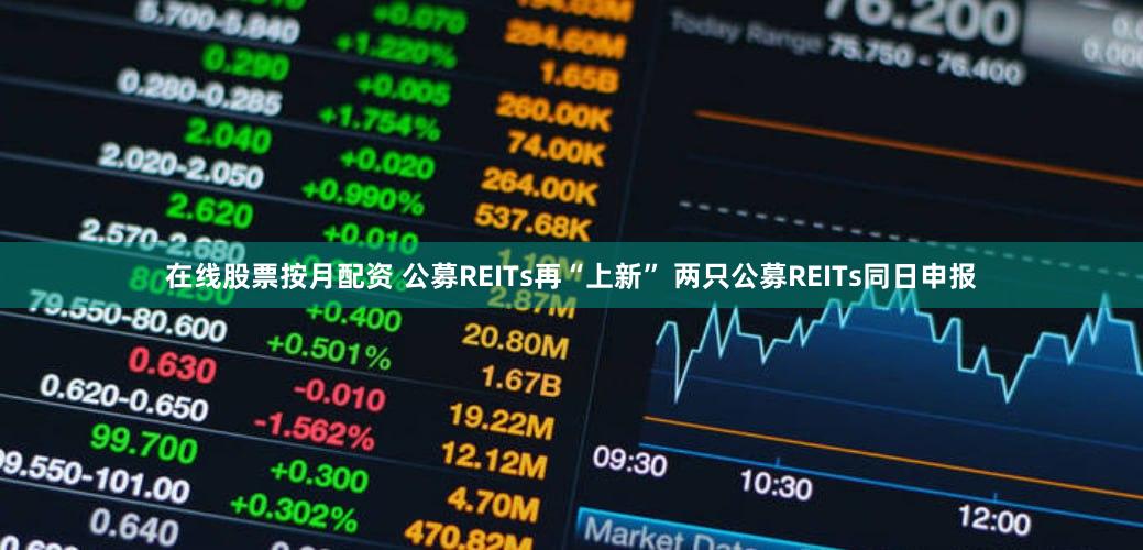 在线股票按月配资 公募REITs再“上新” 两只公募REITs同日申报