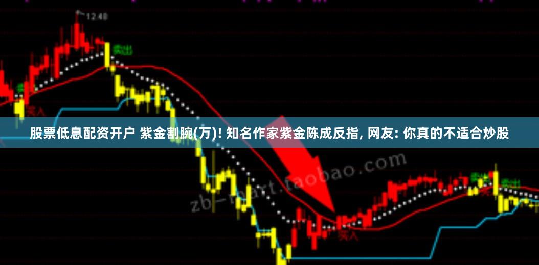 股票低息配资开户 紫金割腕(万)! 知名作家紫金陈成反指, 网友: 你真的不适合炒股
