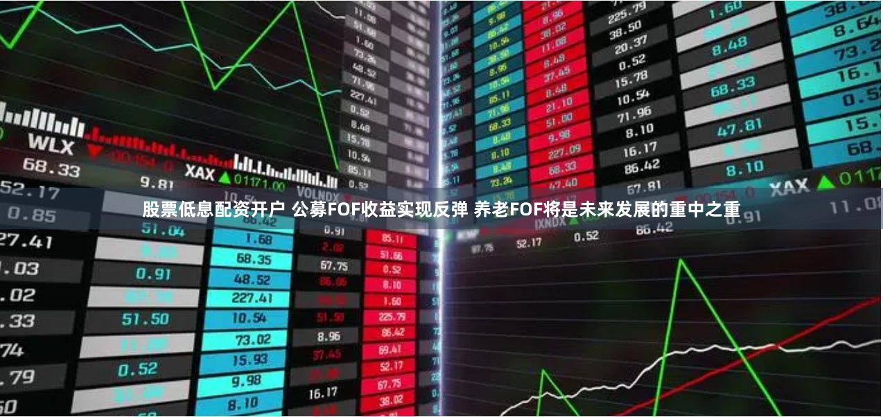 股票低息配资开户 公募FOF收益实现反弹 养老FOF将是未来发展的重中之重