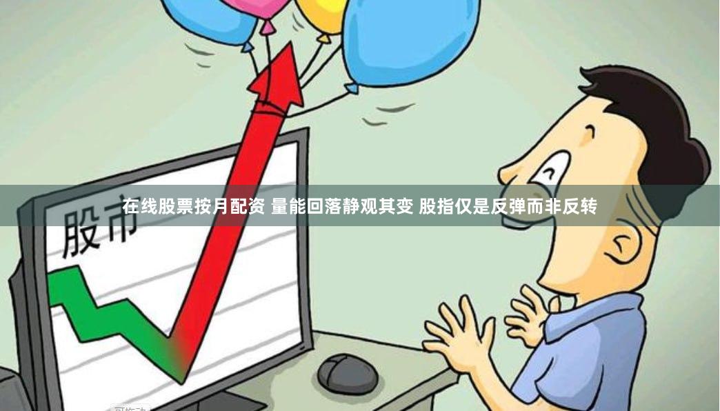 在线股票按月配资 量能回落静观其变 股指仅是反弹而非反转