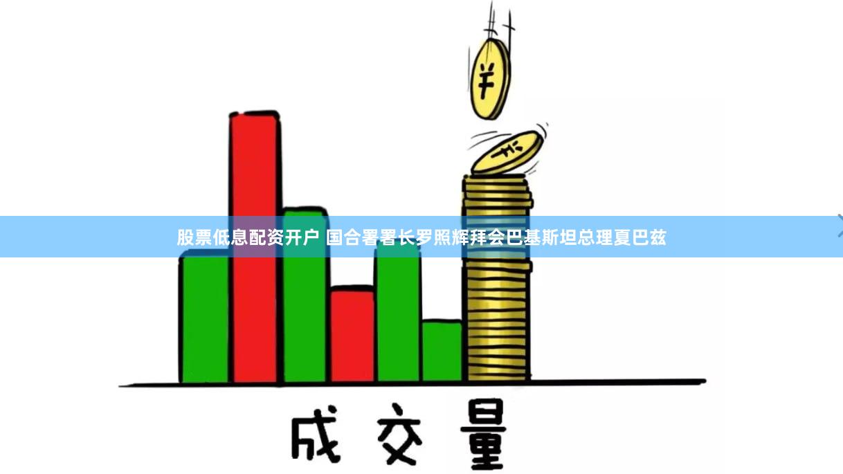 股票低息配资开户 国合署署长罗照辉拜会巴基斯坦总理夏巴兹