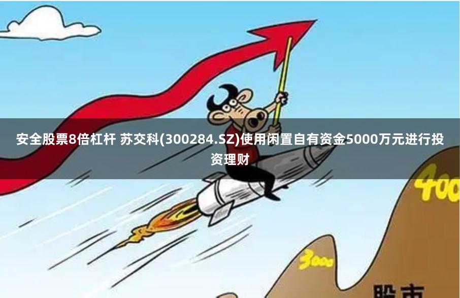 安全股票8倍杠杆 苏交科(300284.SZ)使用闲置自有资金5000万元进行投资理财